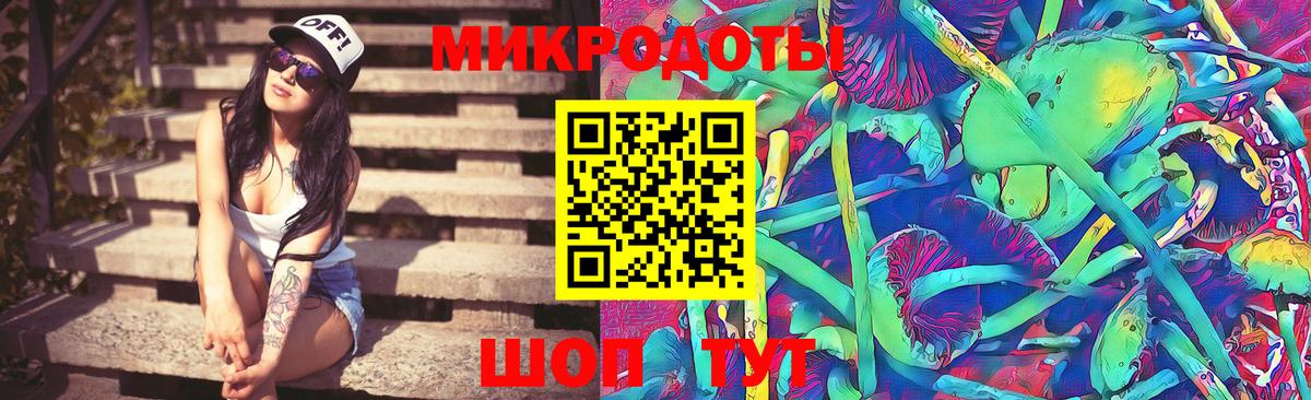 Когалым  Псилоцибиновые грибы Cubensis  Вход с VPN 