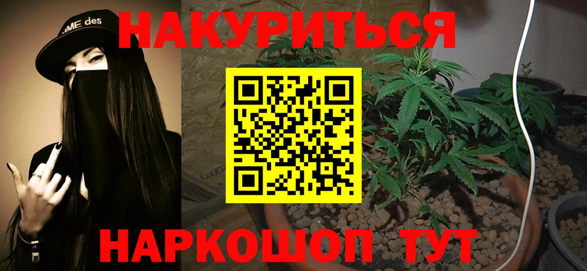 Бошки Шишки планчик  Конопля семена  Когалым  Вход с VPN 